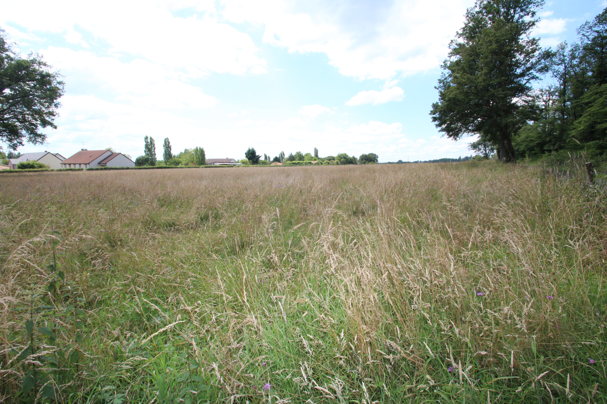 SOUGY SUR LOIRE, beau terrain à bâtir